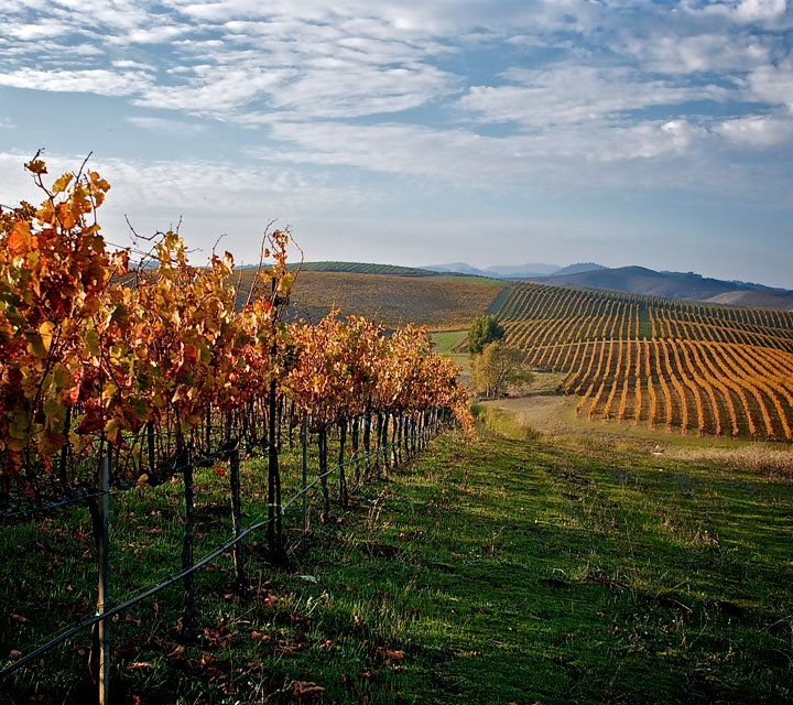 RSV Wine & Dine